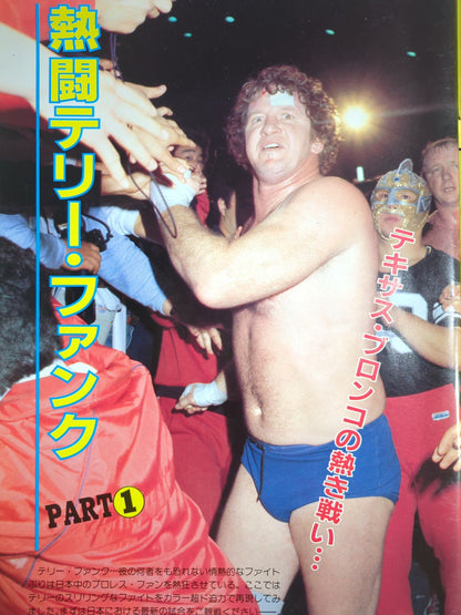 さよならテリー・ファンク いま甦る感動の名勝負! 決定版 テキサス・ブロンコ18年の激