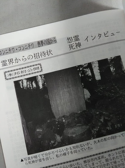 ★ Wrestle Dream Factory Special Issue ★ Mystery Pillow Vol.5