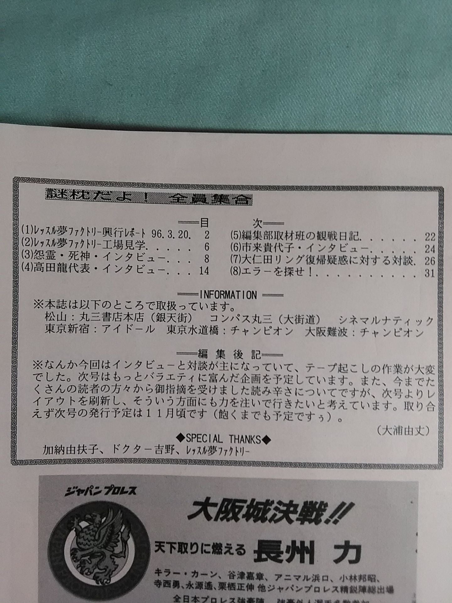 ★ Wrestle Dream Factory Special Issue ★ Mystery Pillow Vol.5