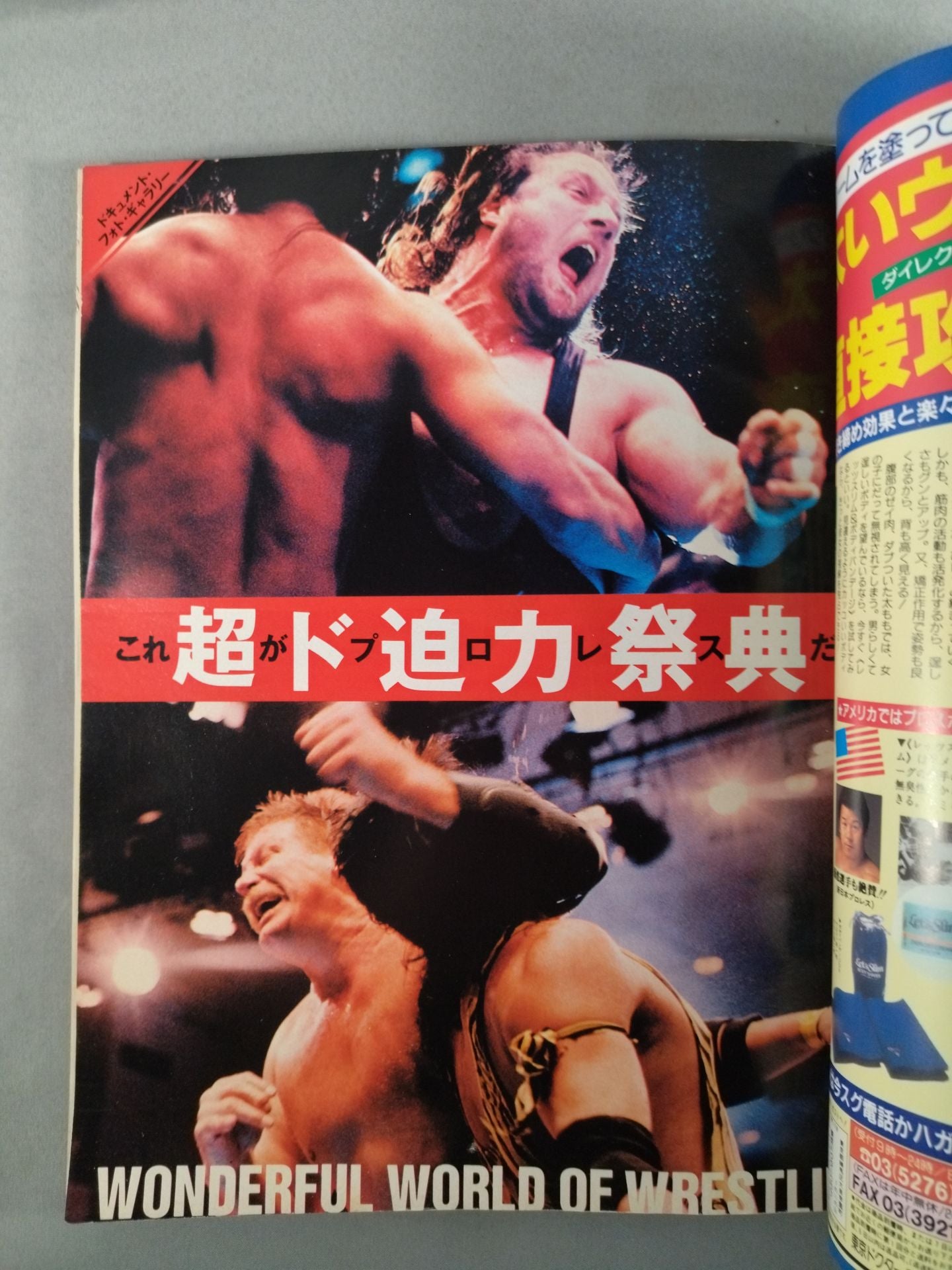 Radical Pro Wrestling  New Era Magazine Vol.1 Super Pro Wrestling 