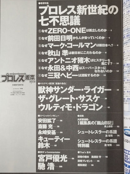 プロレス激本13 / 仮面の告白その本音を聞け!