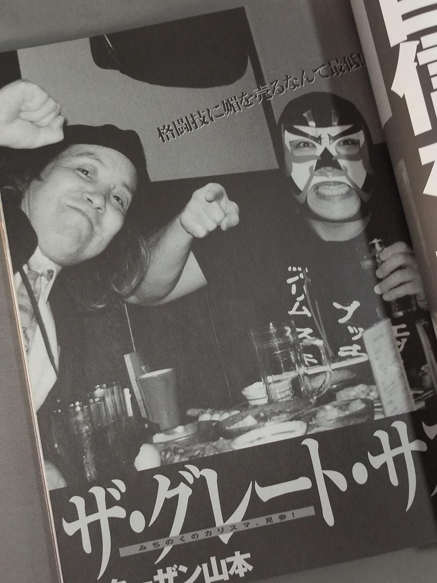 プロレス激本13 / 仮面の告白その本音を聞け!