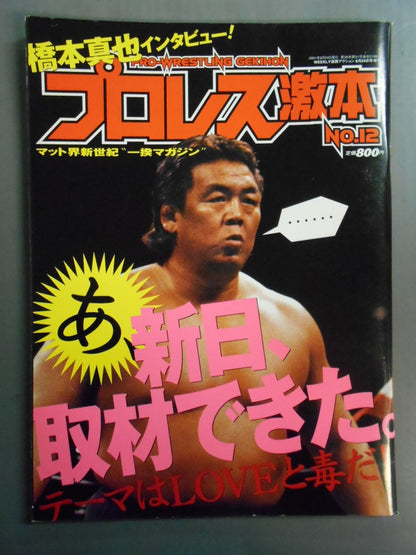 Pro Wrestling Gekihon 12 / Shinya Hashimoto Interview: Ah, I was able to cover New Japan.