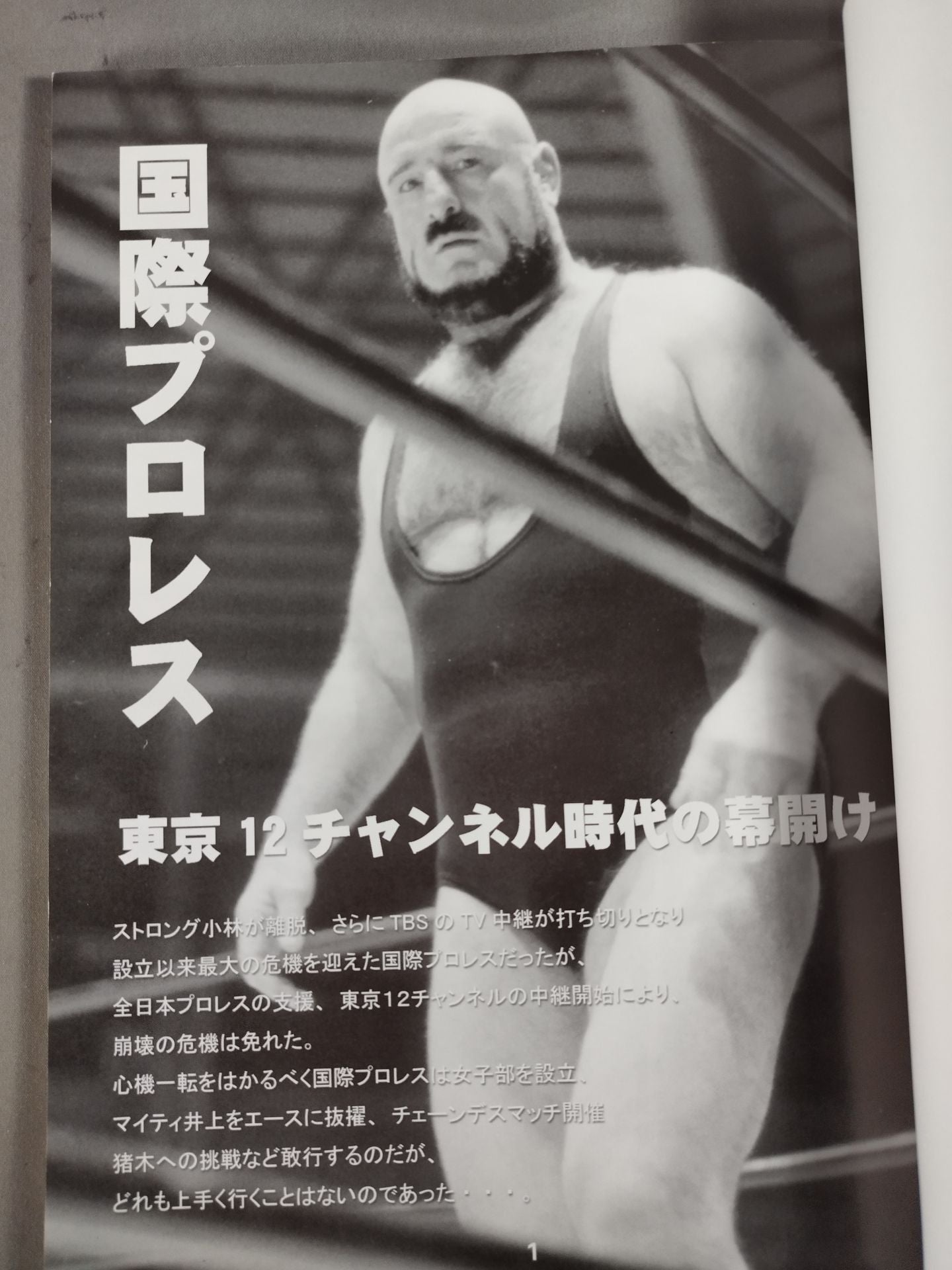 ミック博士の昭和プロレスマガジン第17号 ★特集 国際プロレス 第6弾!★