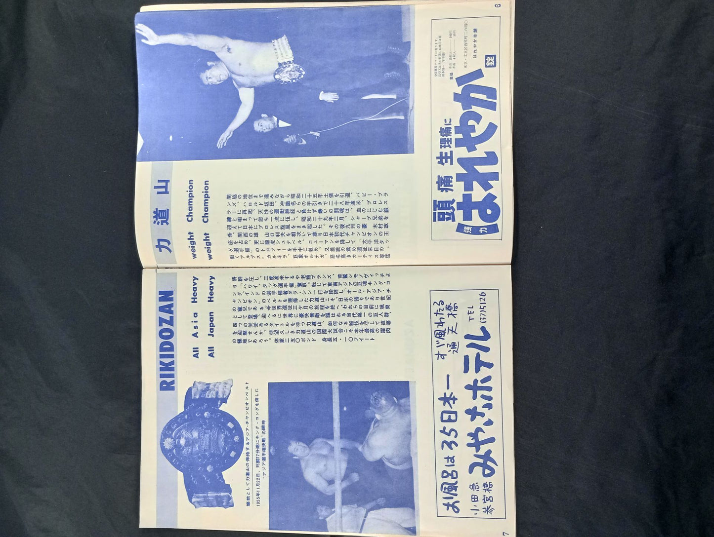 56世界選手権タッグチーム挑戦大試合