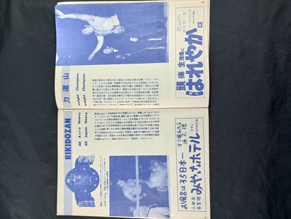 56世界選手権タッグチーム挑戦大試合