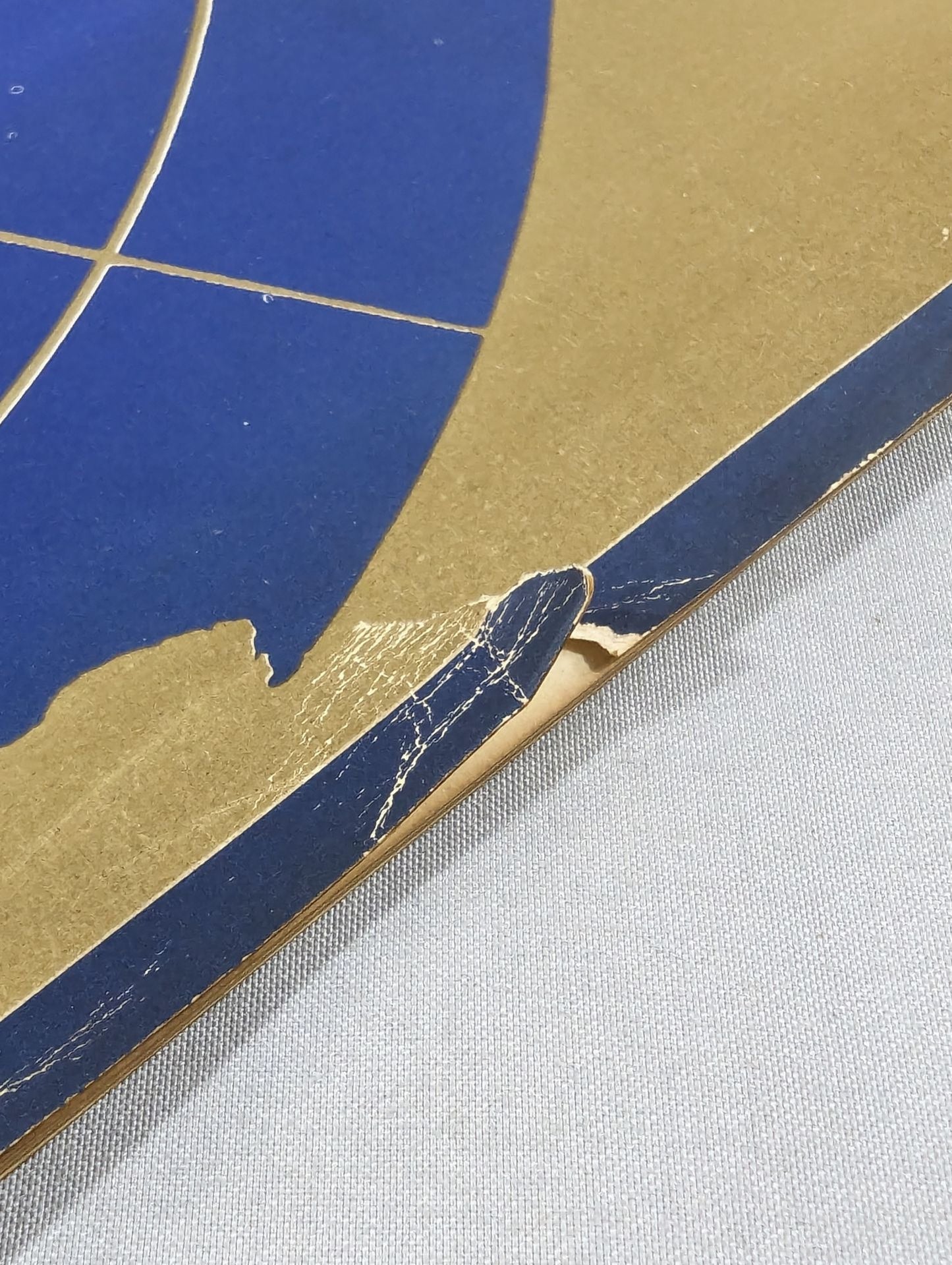 71第13回ワールド大リーグ戦