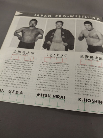 71サマービッグ・シリーズ