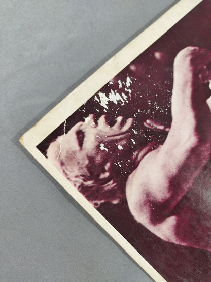 69第11回ワールド大リーグ戦