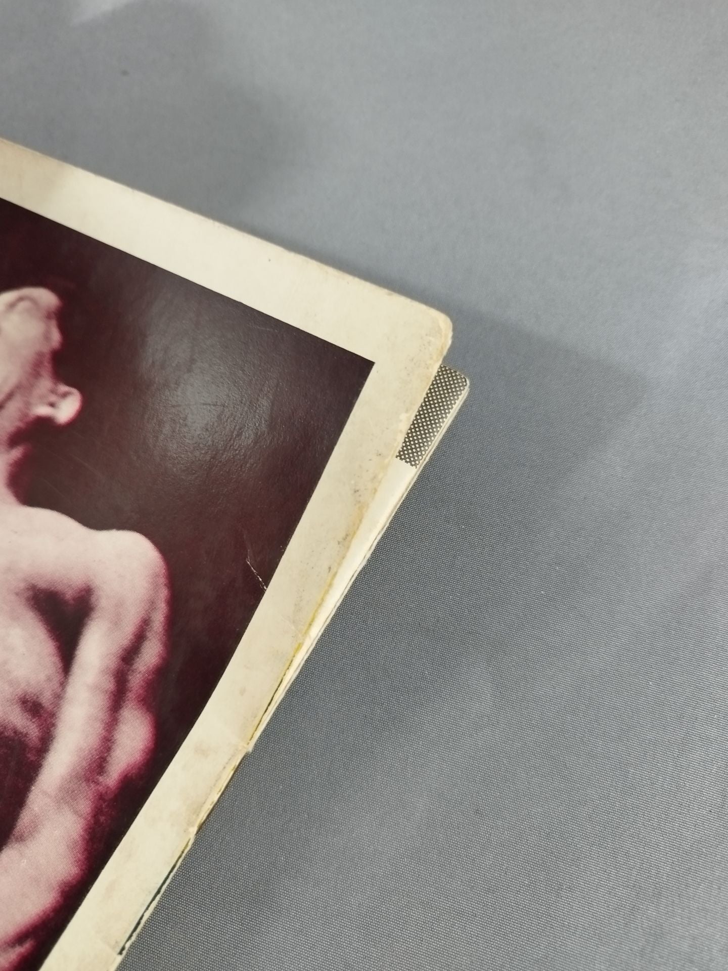 69第11回ワールド大リーグ戦