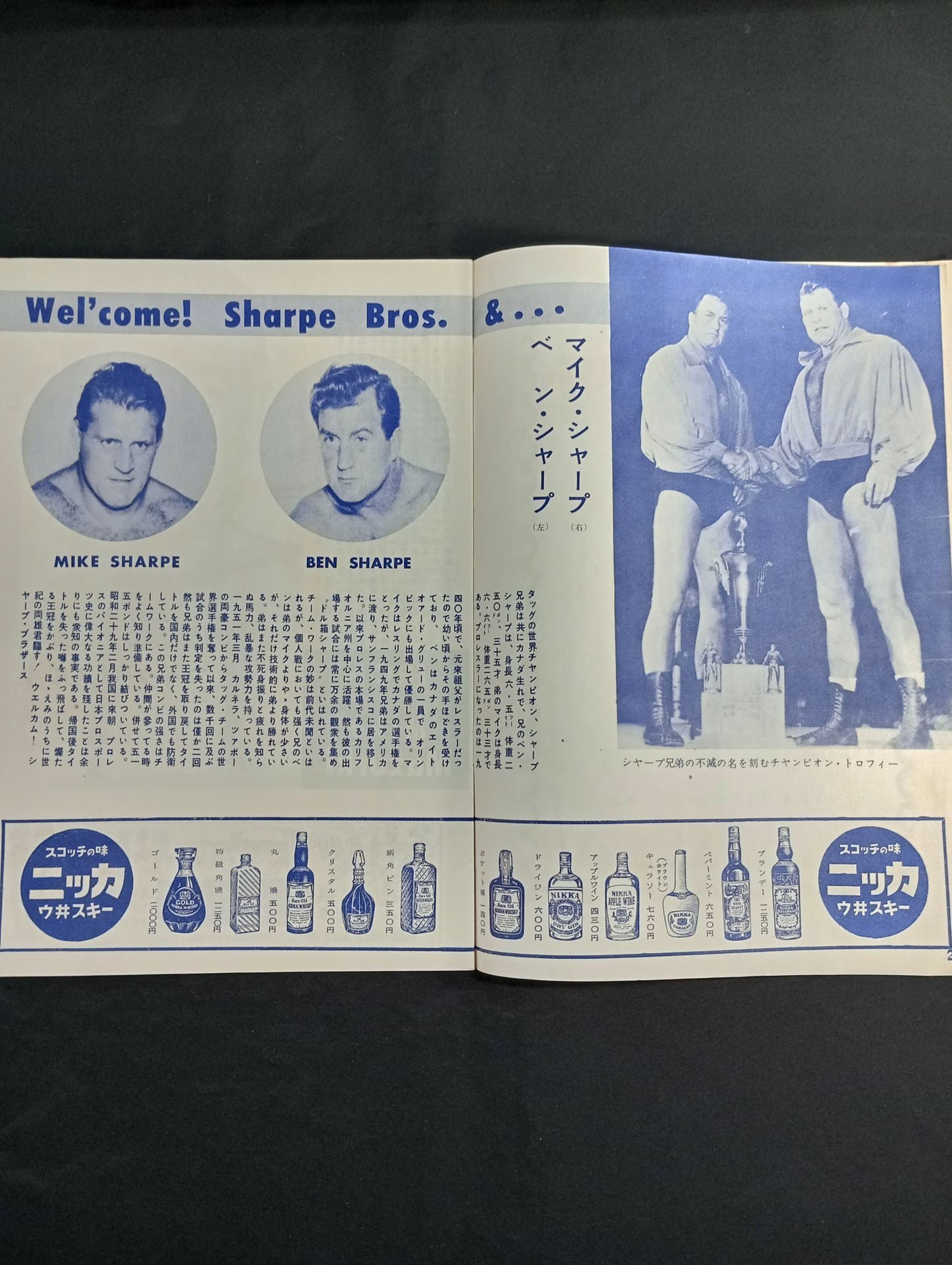 ★半券付★ 56世界選手権タッグチーム挑戦大試合