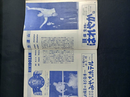 ★半券付★ 56世界選手権タッグチーム挑戦大試合