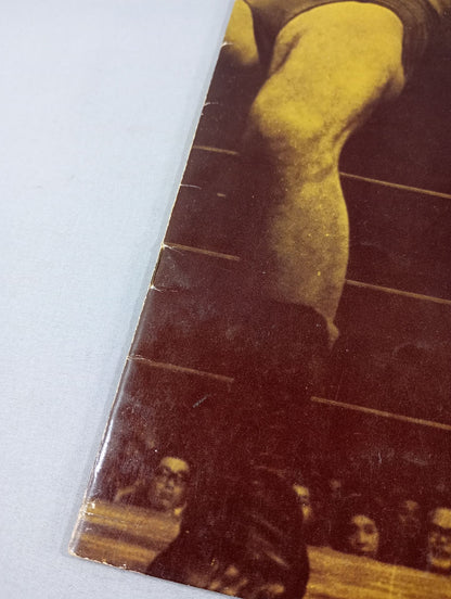 71サマービッグ・シリーズ