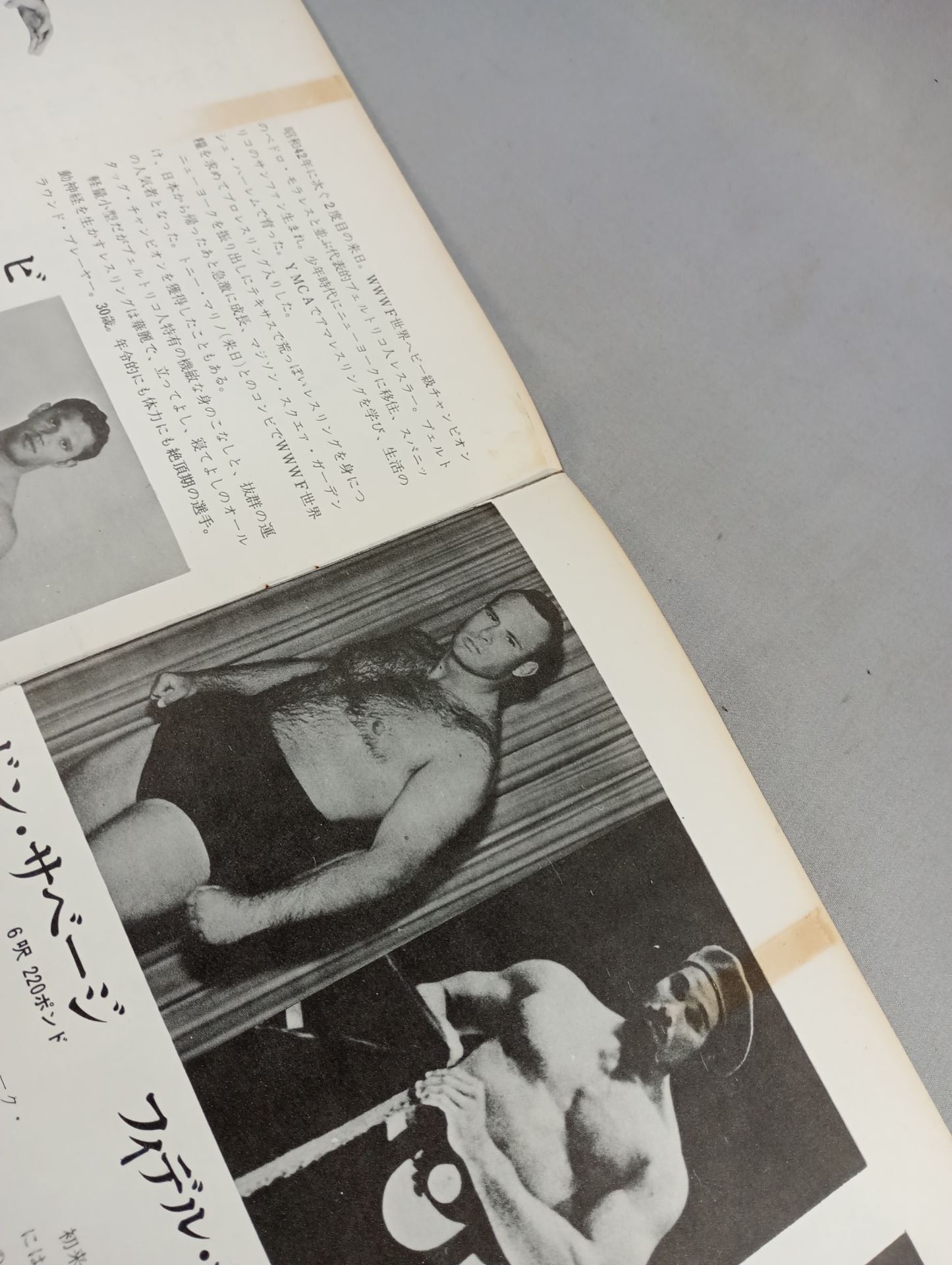 71サマービッグ・シリーズ