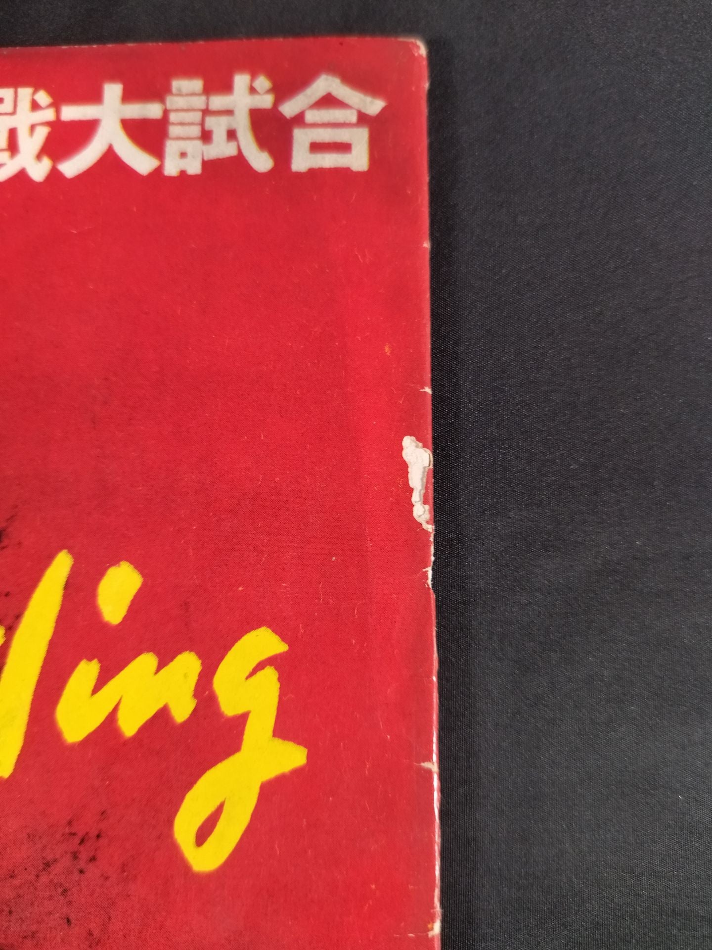 56世界選手権タッグチーム挑戦大試合