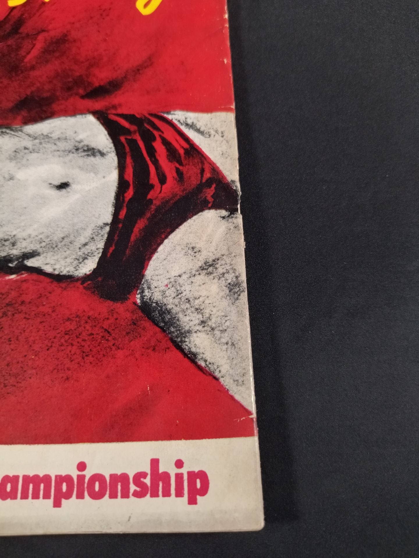 56世界選手権タッグチーム挑戦大試合