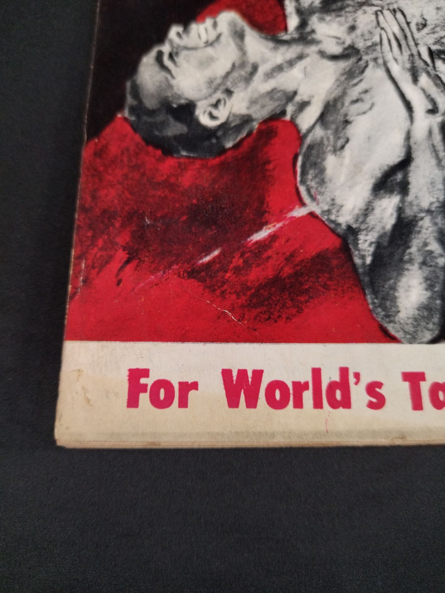 56世界選手権タッグチーム挑戦大試合