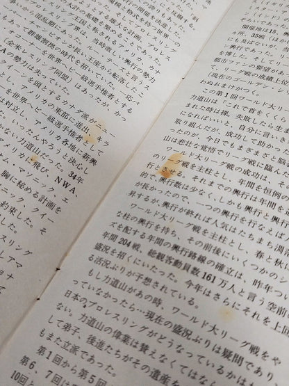 69第11回ワールド大リーグ戦