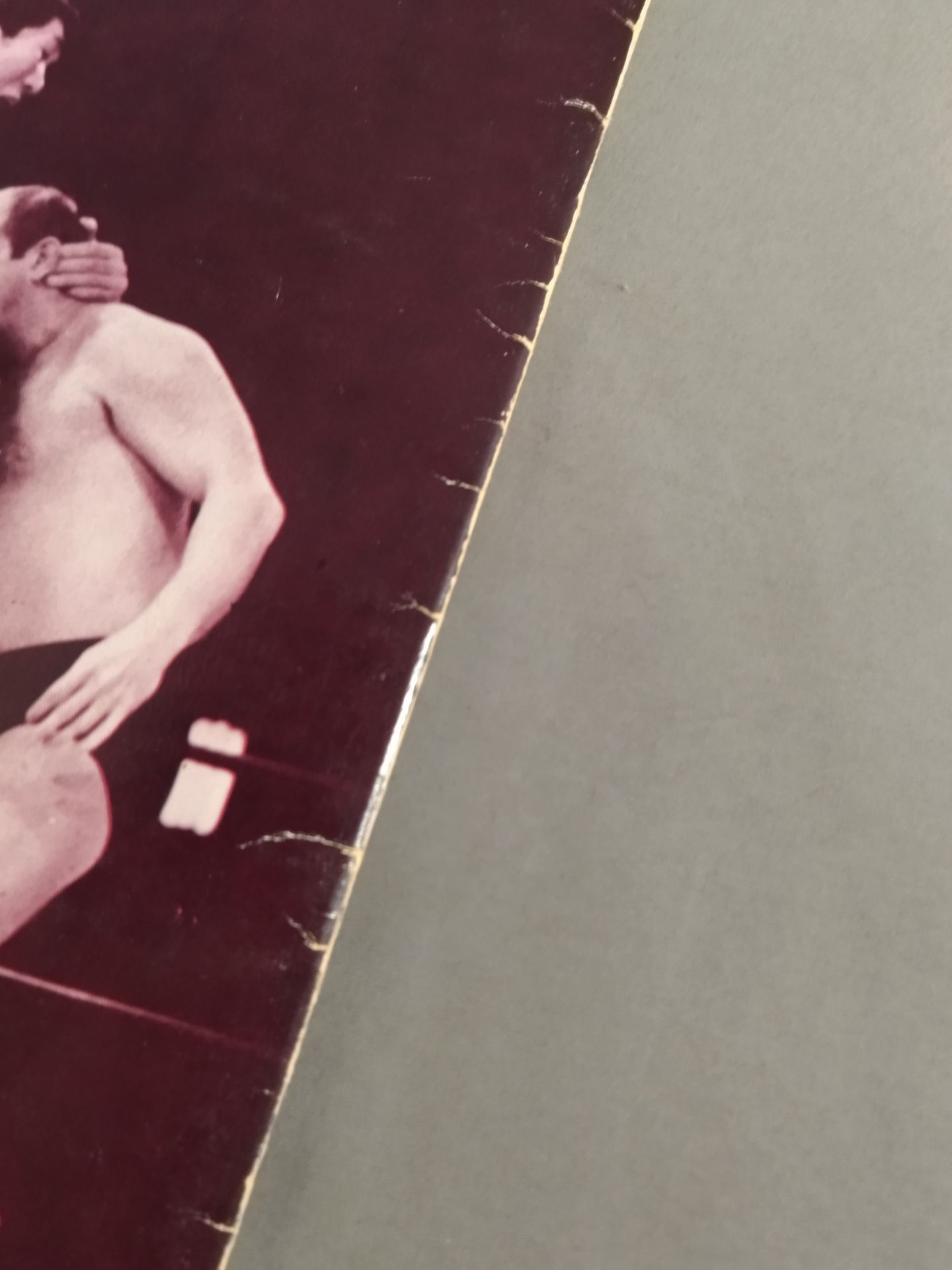 72第14回ワールド大リーグ戦