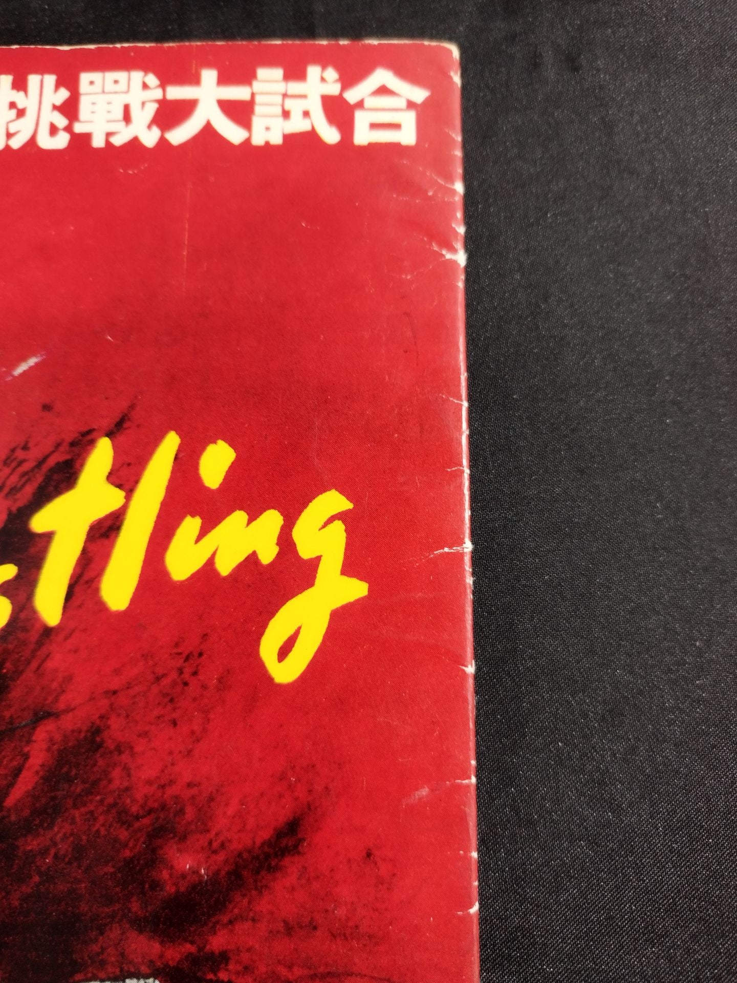 56世界選手権タッグチーム挑戦大試合