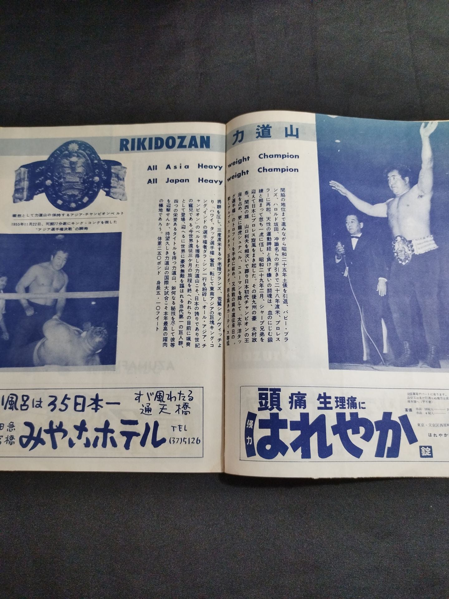 56世界選手権タッグチーム挑戦大試合