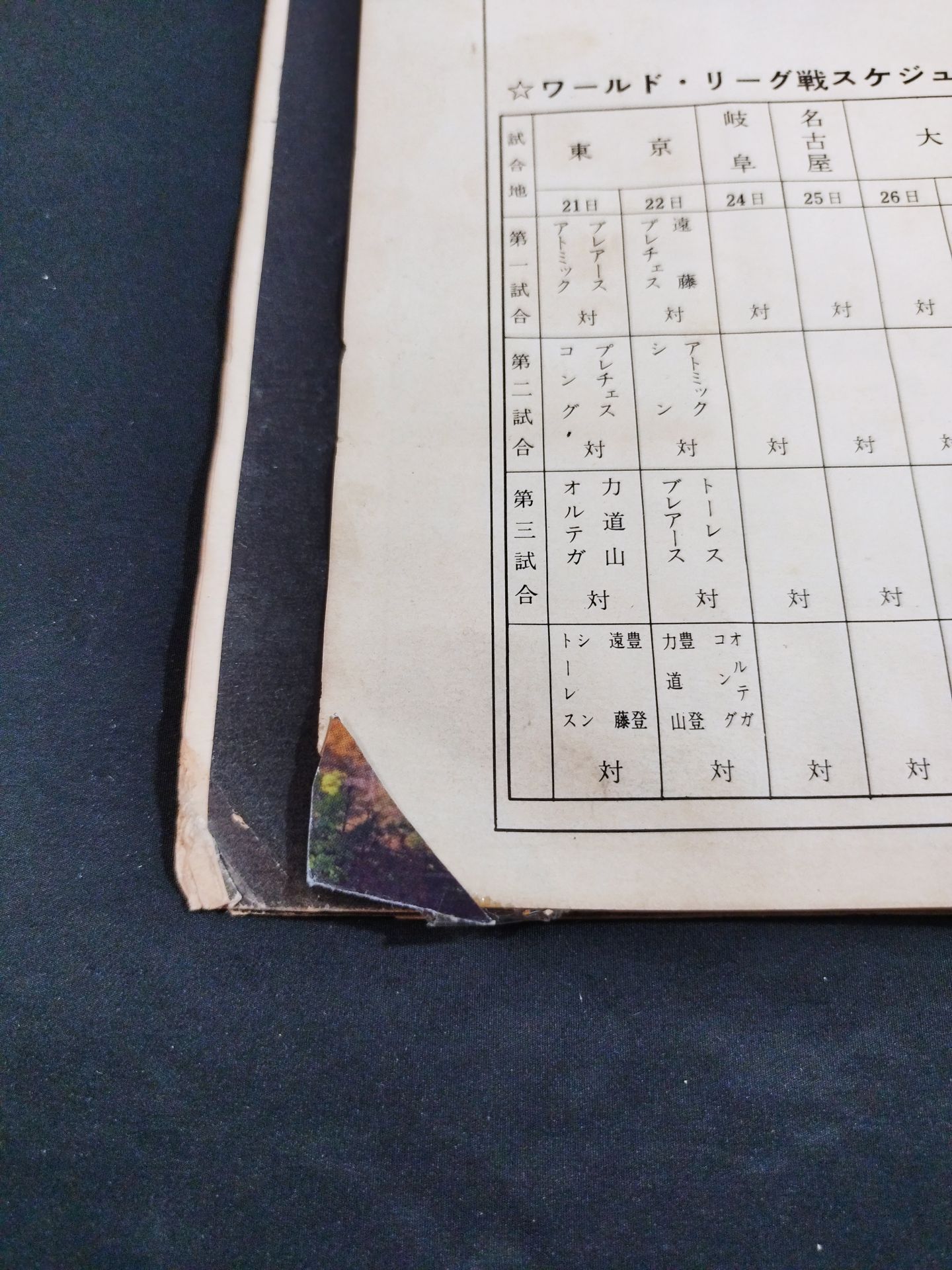 第1回プロレス・ワールド・リーグ戦(第1回ワールド大リーグ戦)