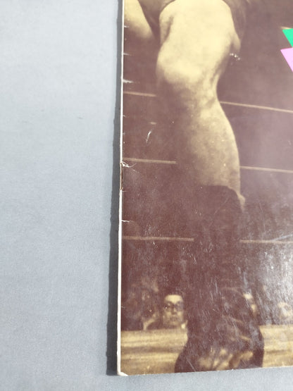 71サマービッグ・シリーズ