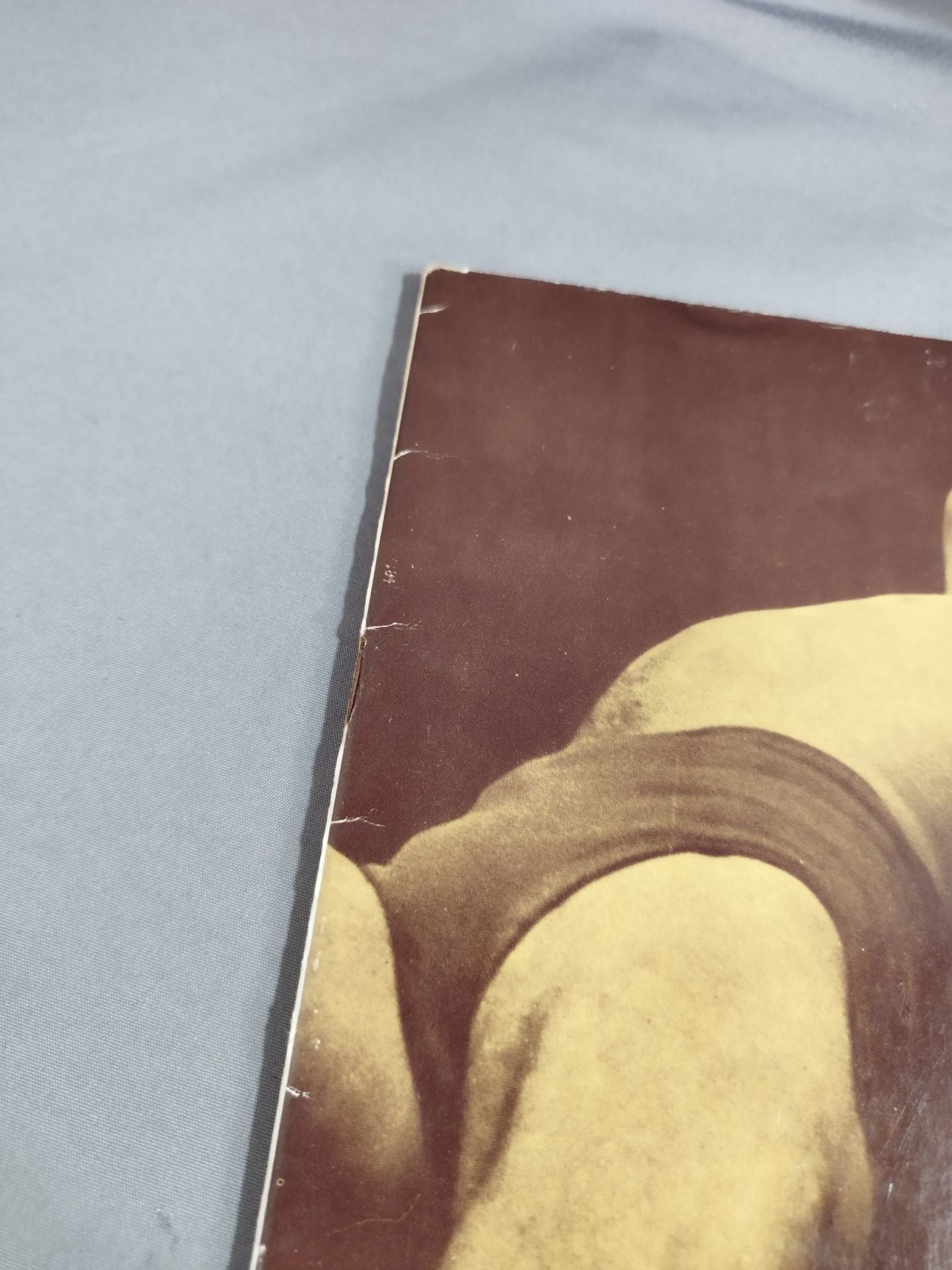 71サマービッグ・シリーズ