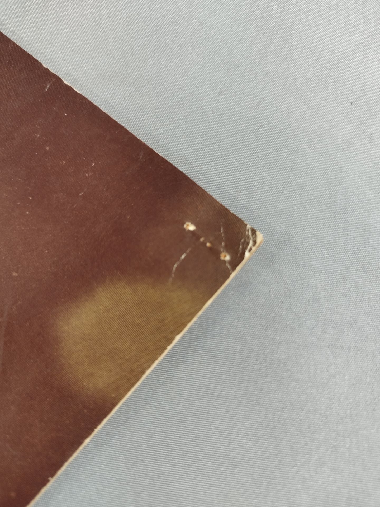 71サマービッグ・シリーズ