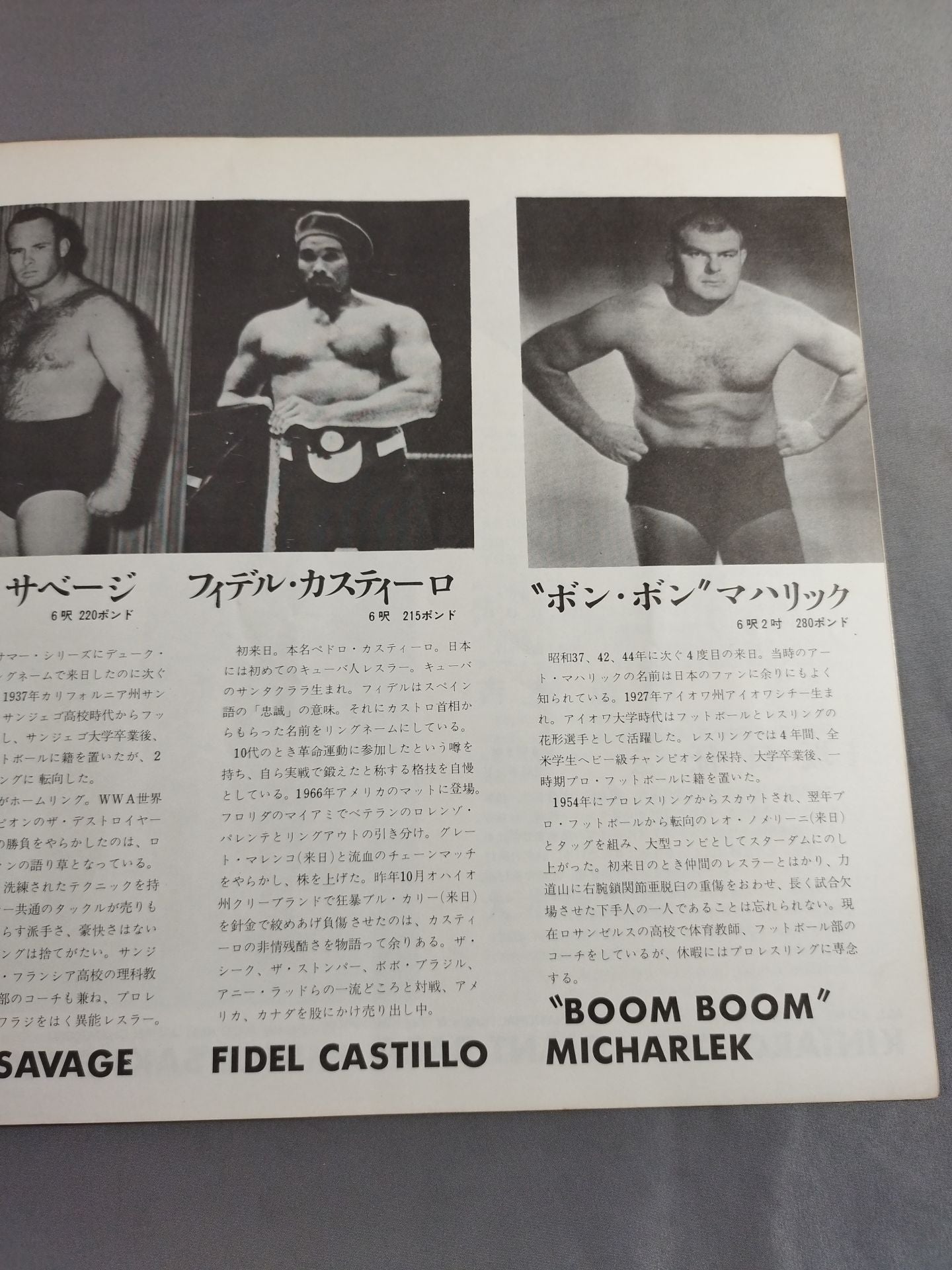 71サマービッグ・シリーズ