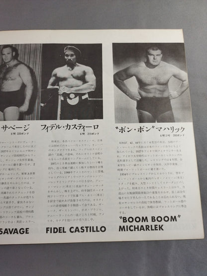 71サマービッグ・シリーズ