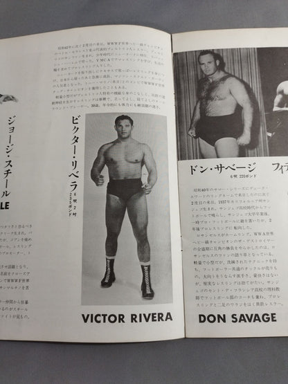 71サマービッグ・シリーズ