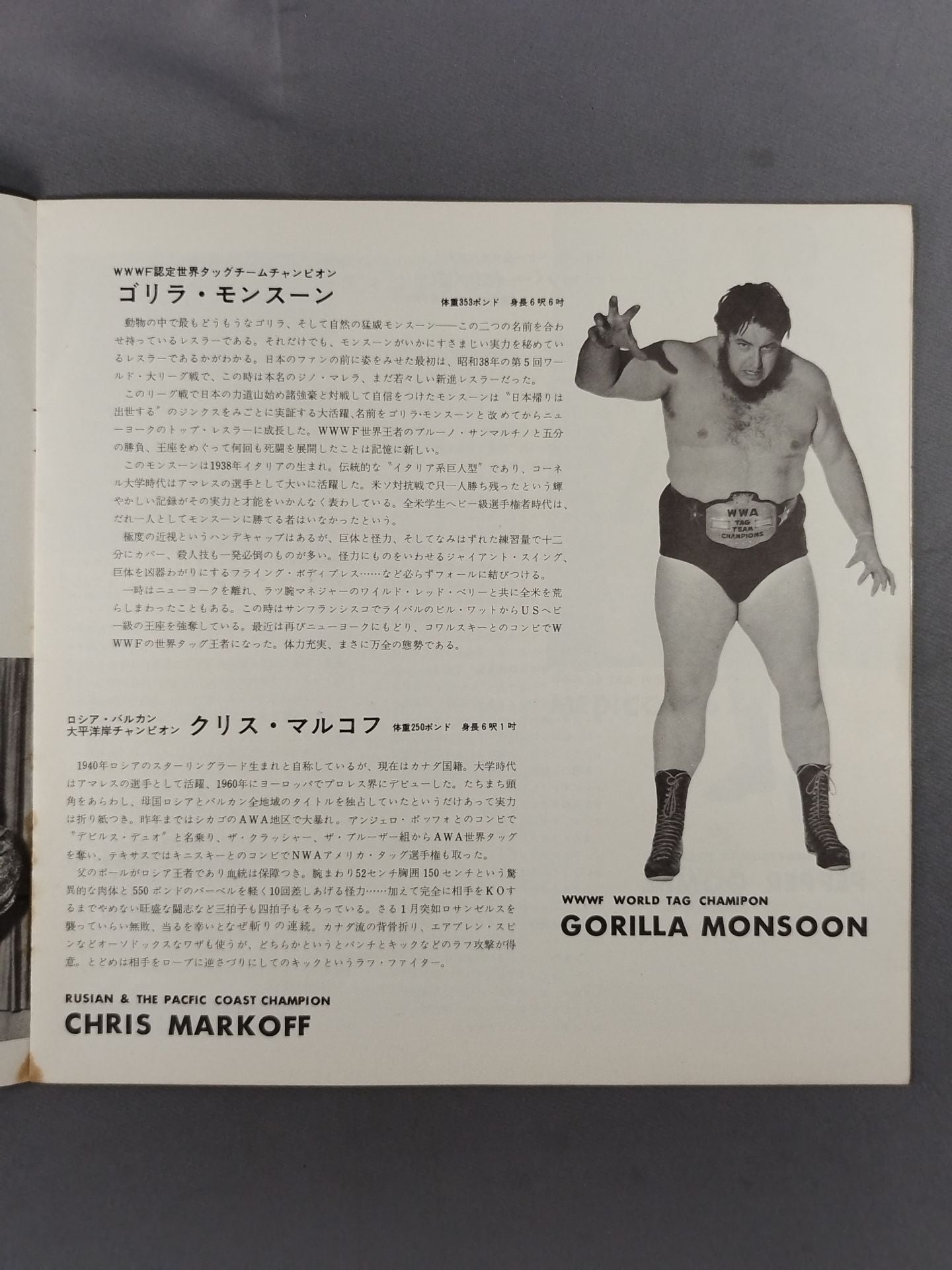 69第11回ワールド大リーグ戦