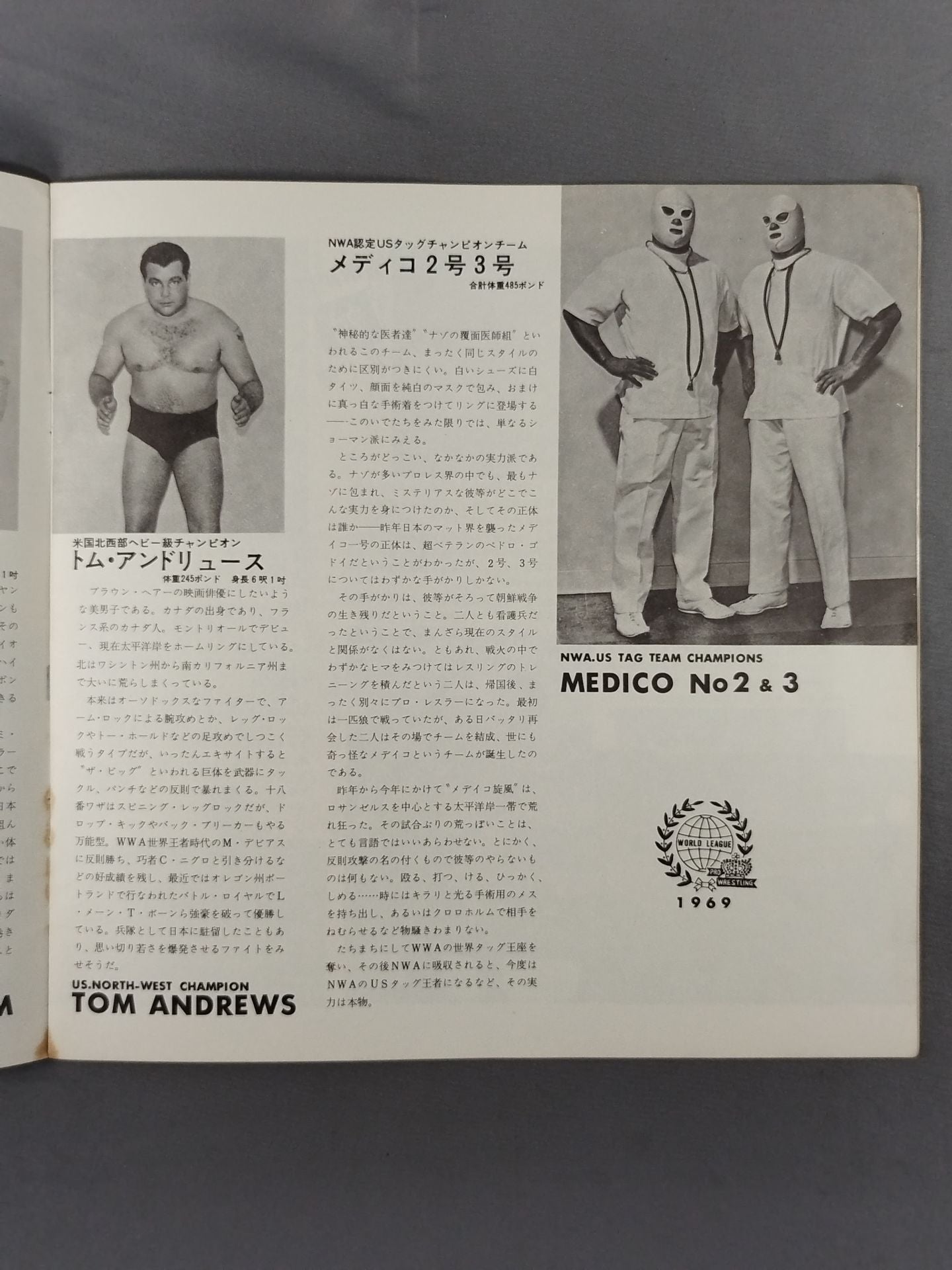 69第11回ワールド大リーグ戦