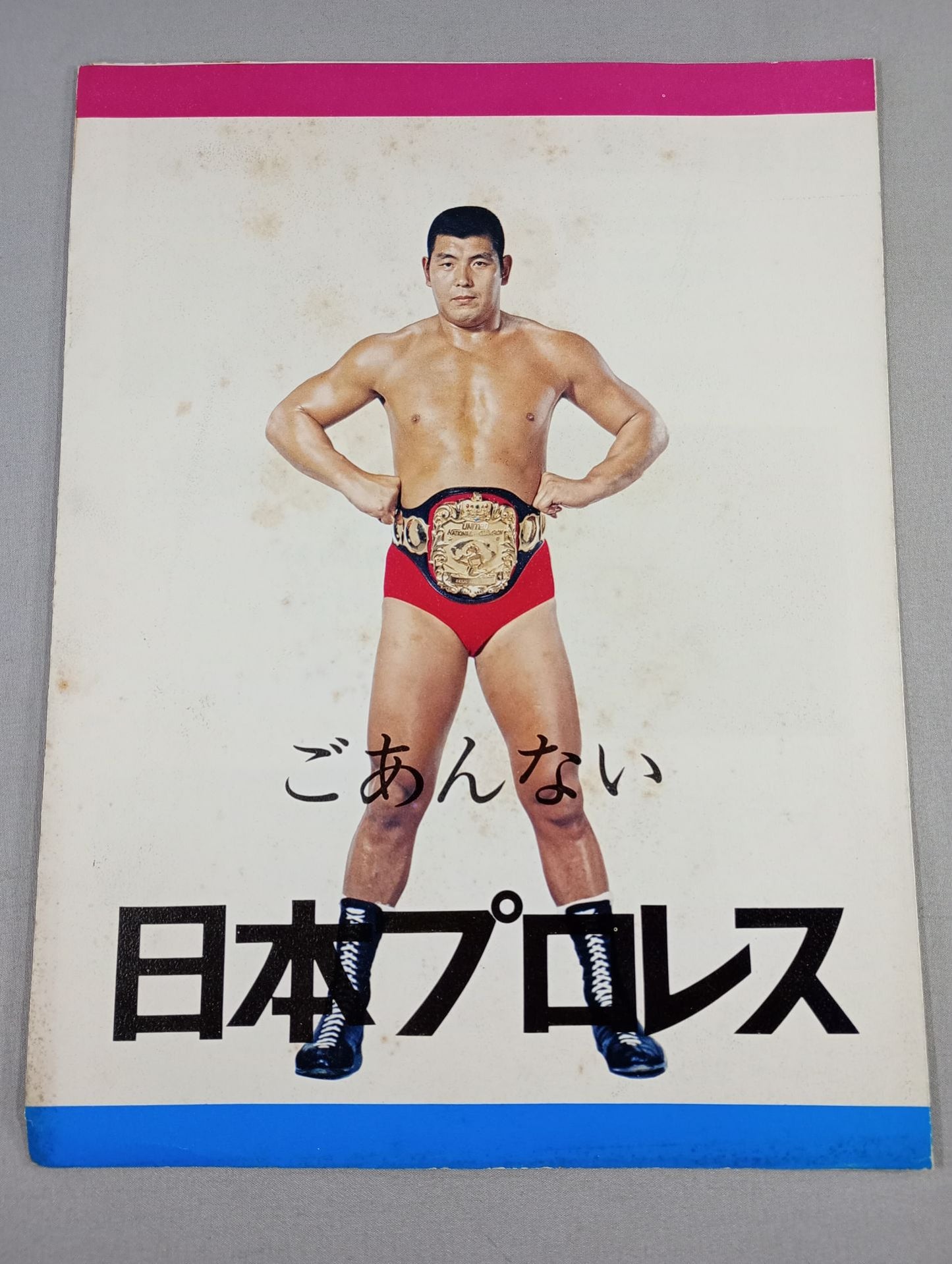 Goanai Japan Pro Wrestling