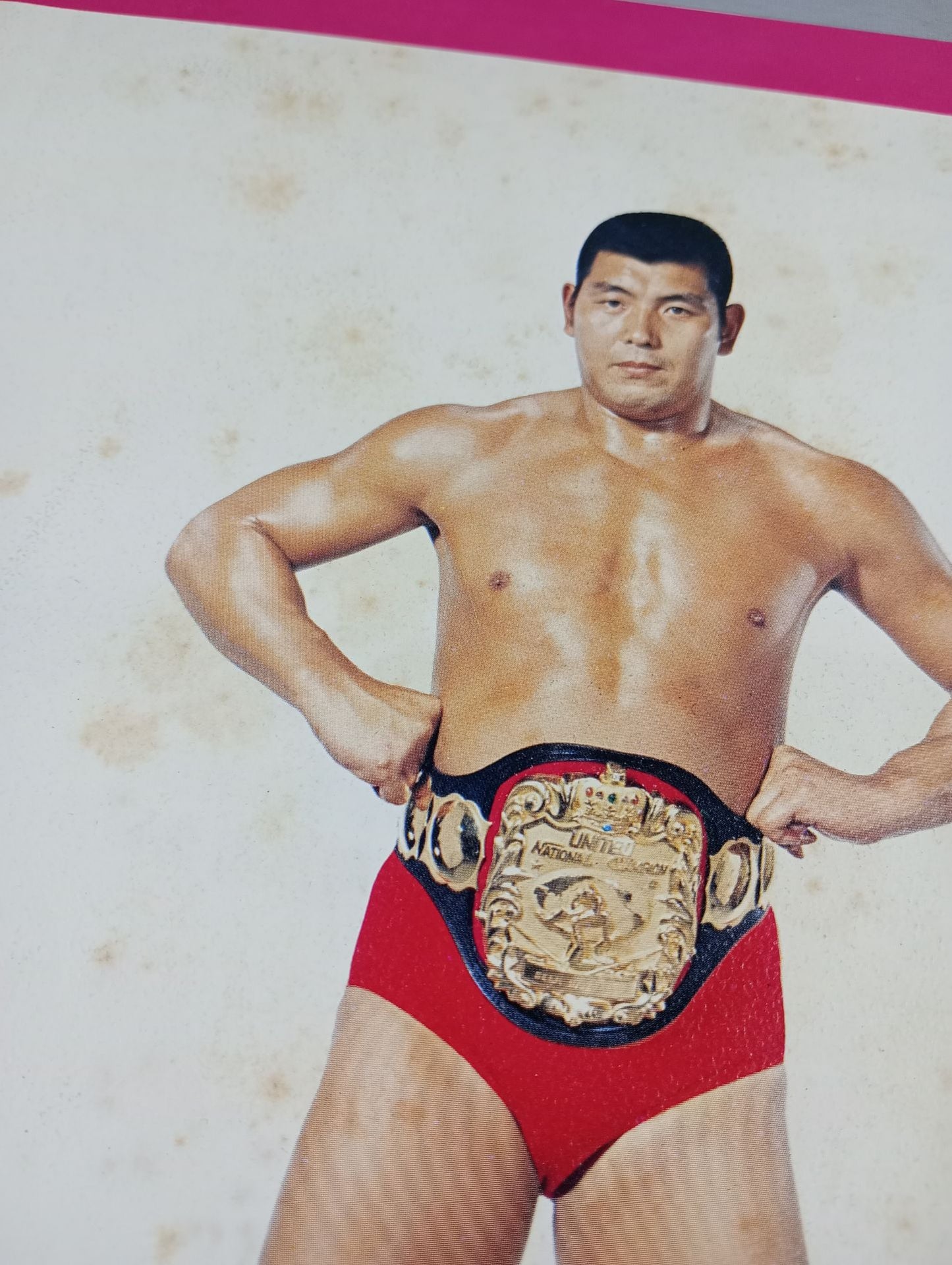 Goanai Japan Pro Wrestling