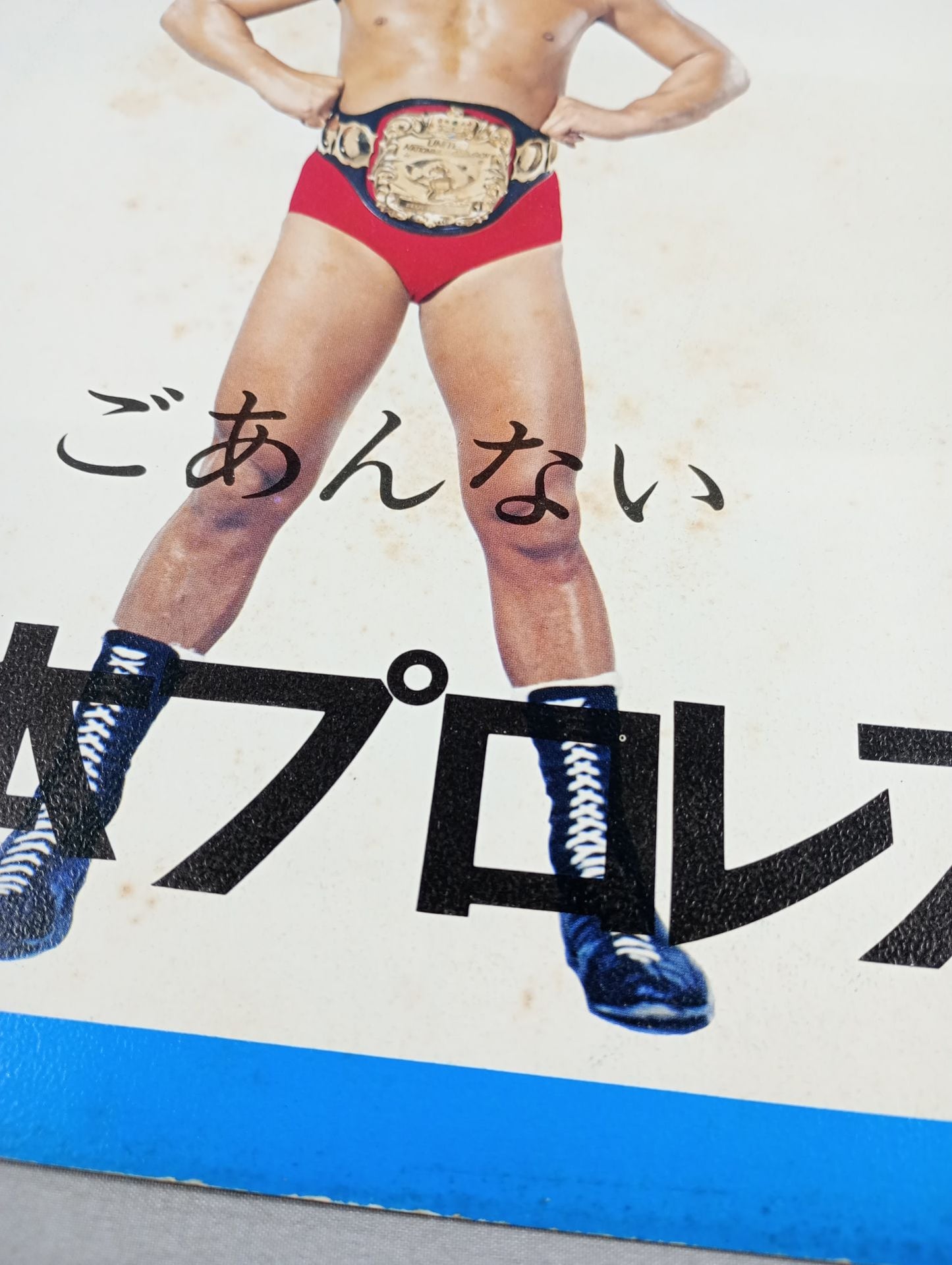 Goanai Japan Pro Wrestling