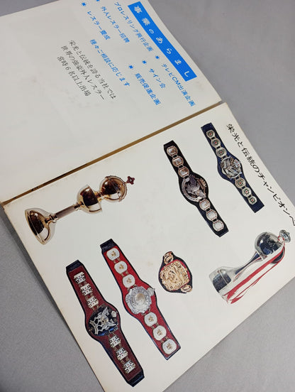 Goanai Japan Pro Wrestling