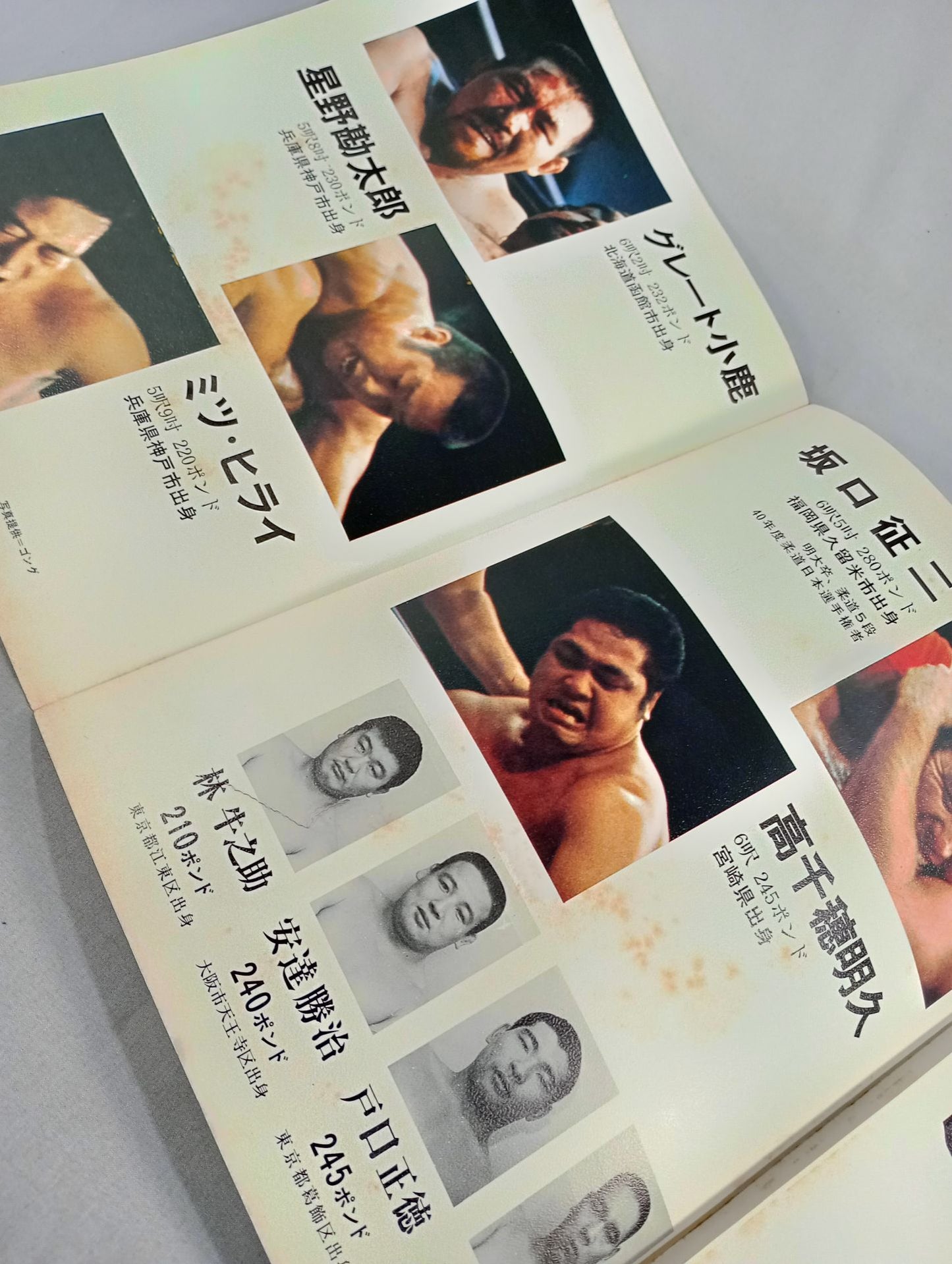 Goanai Japan Pro Wrestling