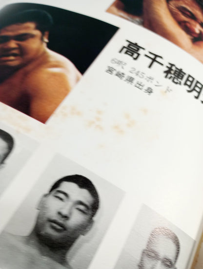 Goanai Japan Pro Wrestling