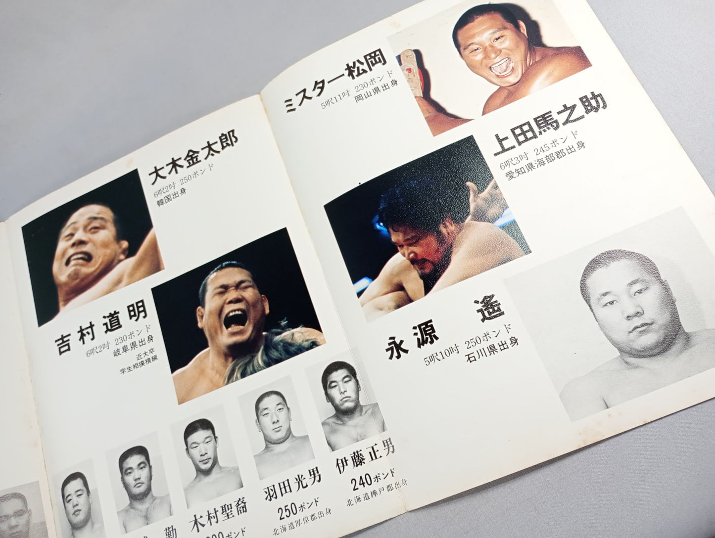 Goanai Japan Pro Wrestling