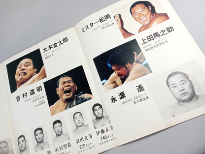 Goanai Japan Pro Wrestling