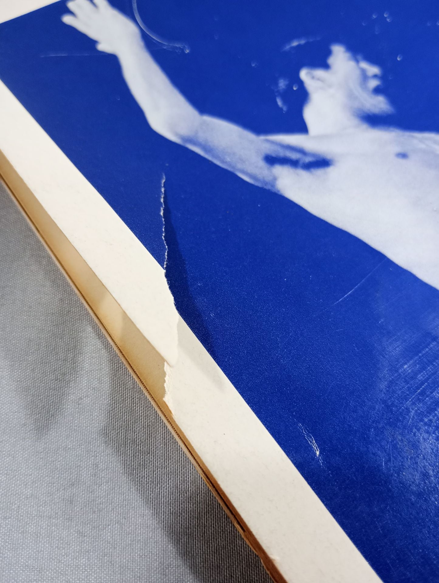 71第13回ワールド大リーグ戦