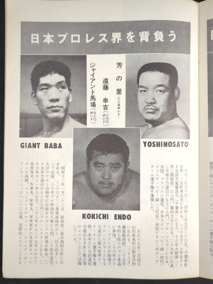 64夏期国際プロレス戦