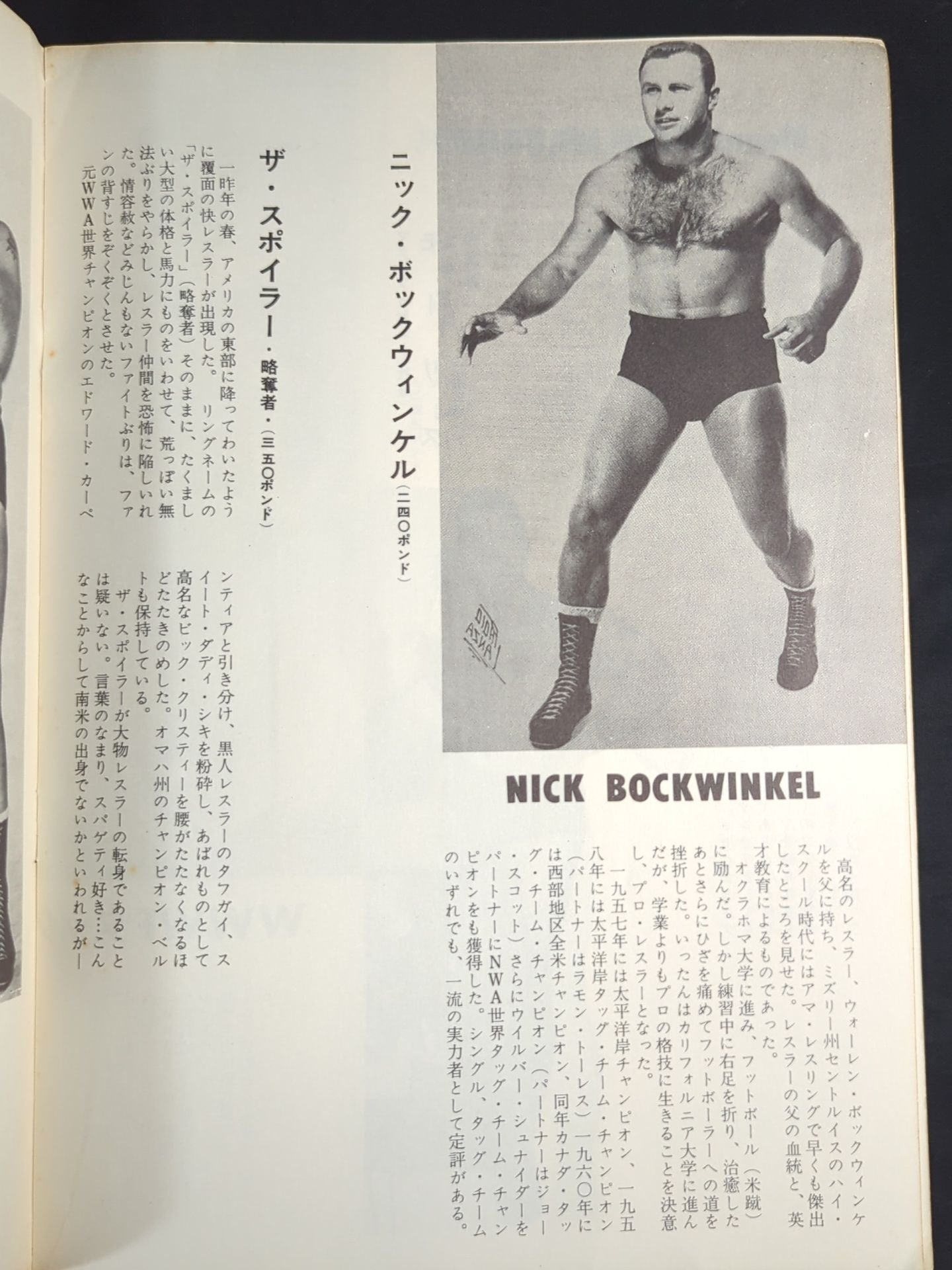 64夏期国際プロレス戦