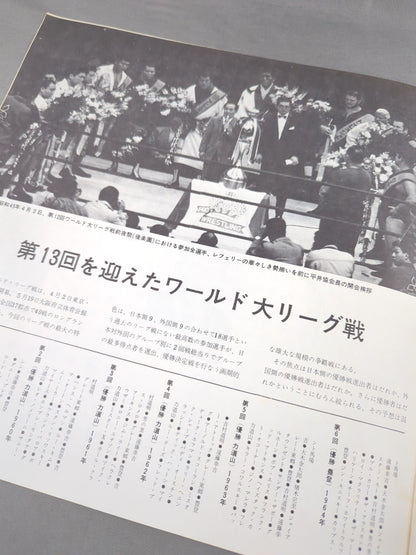 71第13回ワールド大リーグ戦