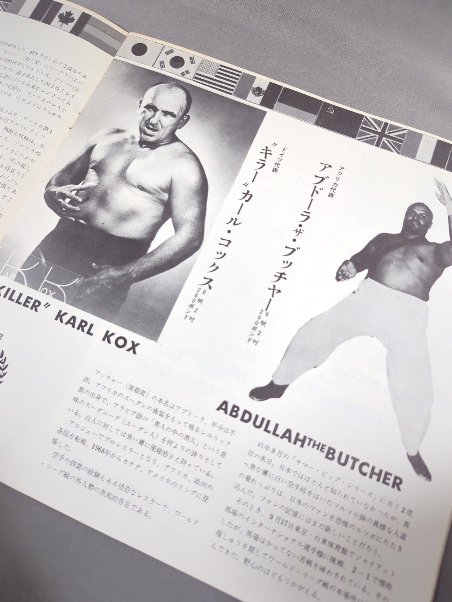 71第13回ワールド大リーグ戦