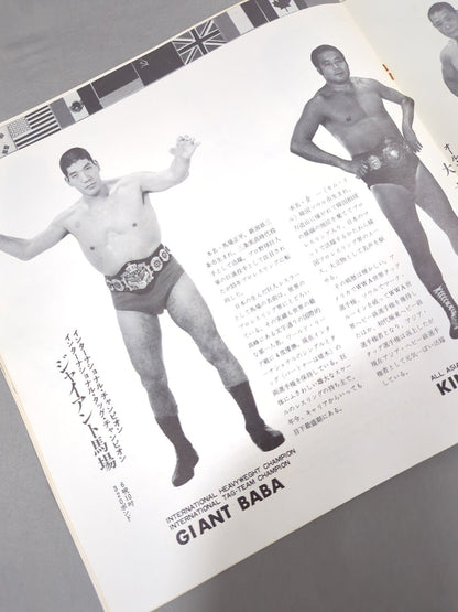 71第13回ワールド大リーグ戦