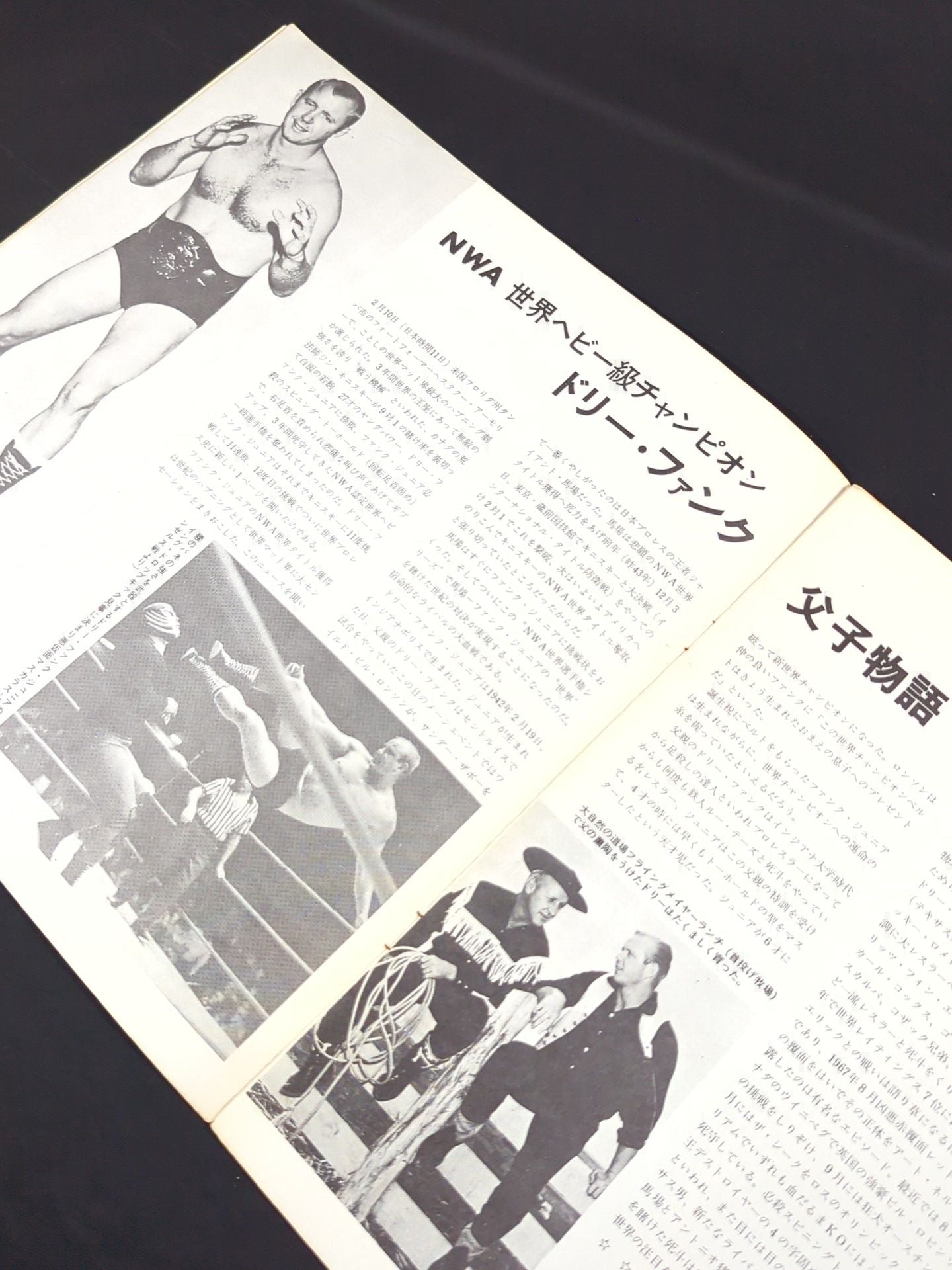 69NWAワールド・チャンピオン・シリーズ