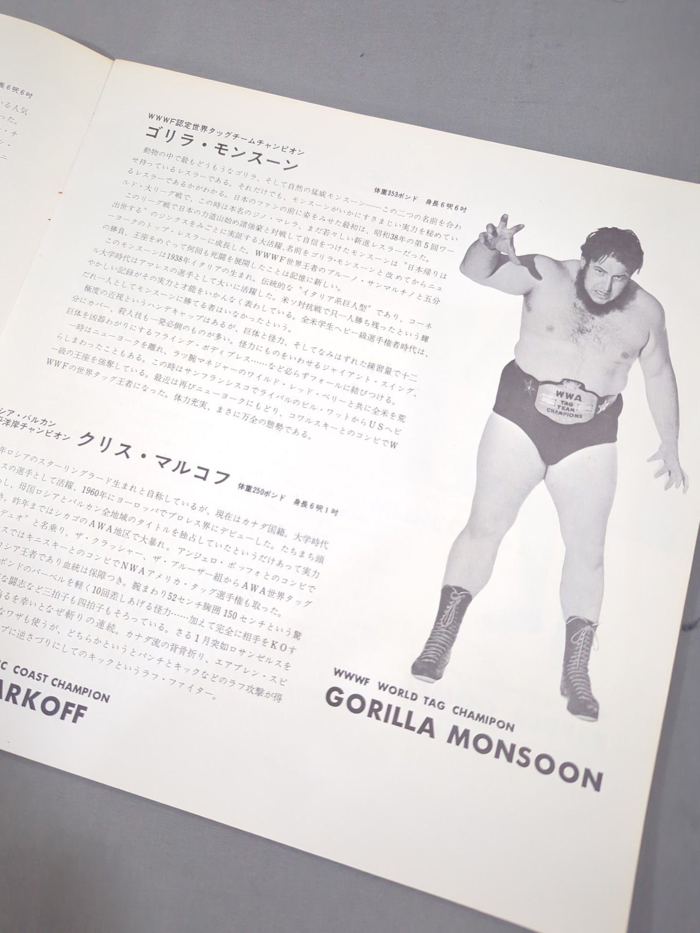 69第11回ワールド大リーグ戦